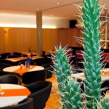 Hotel Akademiehotel 3*