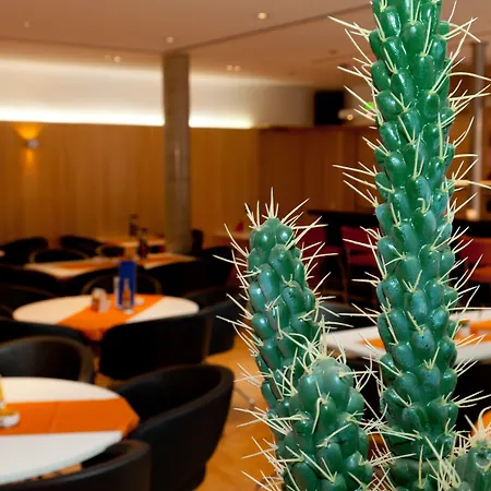 Hotel Akademiehotel Dresde